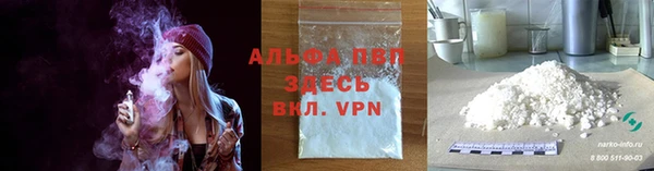 стаф Абаза