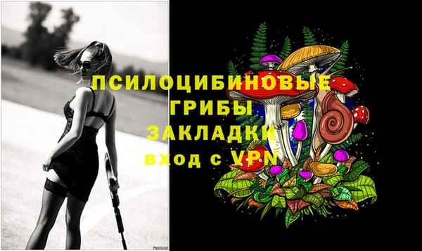 стаф Абдулино