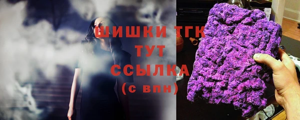 стаф Абаза