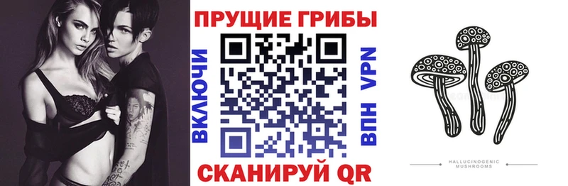 наркошоп  Ейск  OMG как зайти  Галлюциногенные грибы мухоморы 